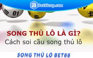 Thế nào là song thu lô