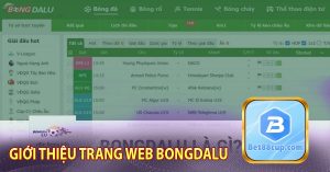 Giới thiệu trang web Bongdalu